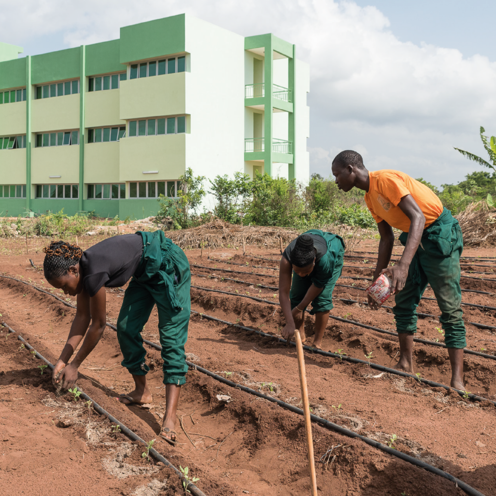 Foto over internationaal studeren.
